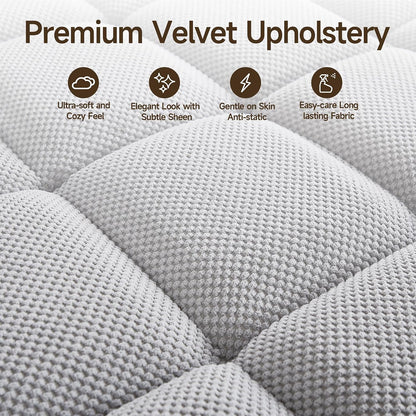 Adjustable Backrest Loveseat Sofa, Modern Lounge Couch for Living Room